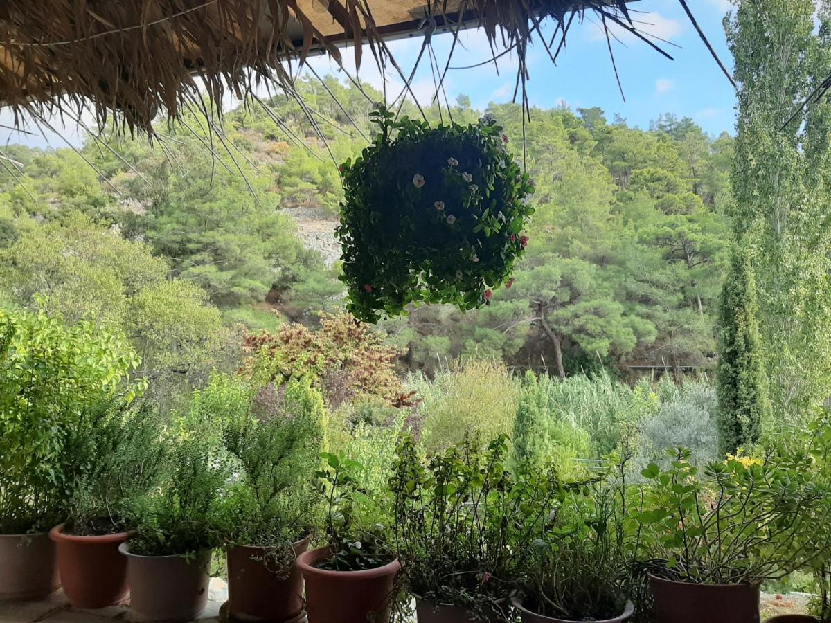 אפסיו Blue Cottage מראה חיצוני תמונה