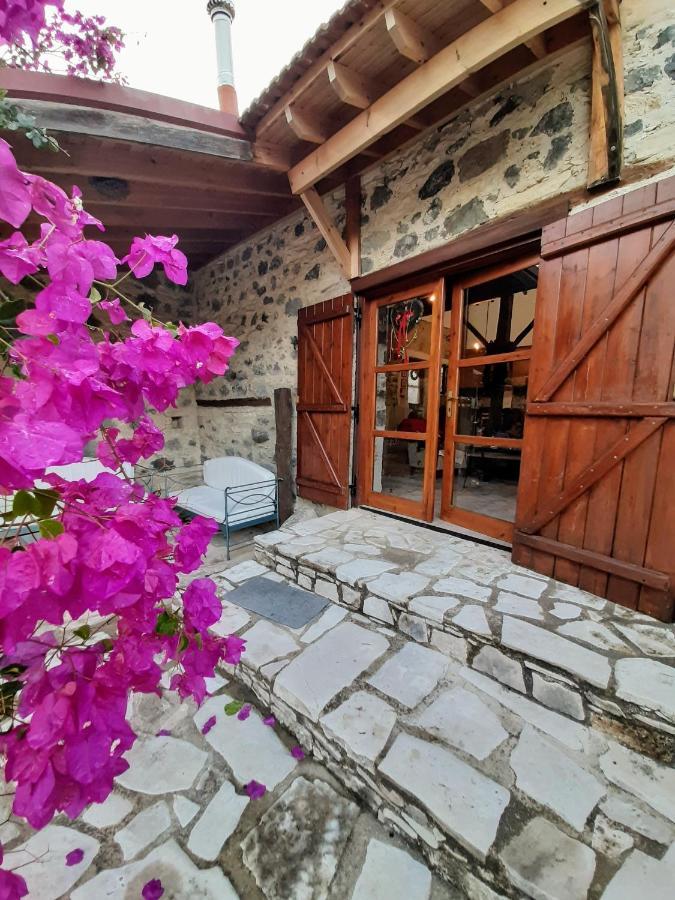 אפסיו Blue Cottage מראה חיצוני תמונה