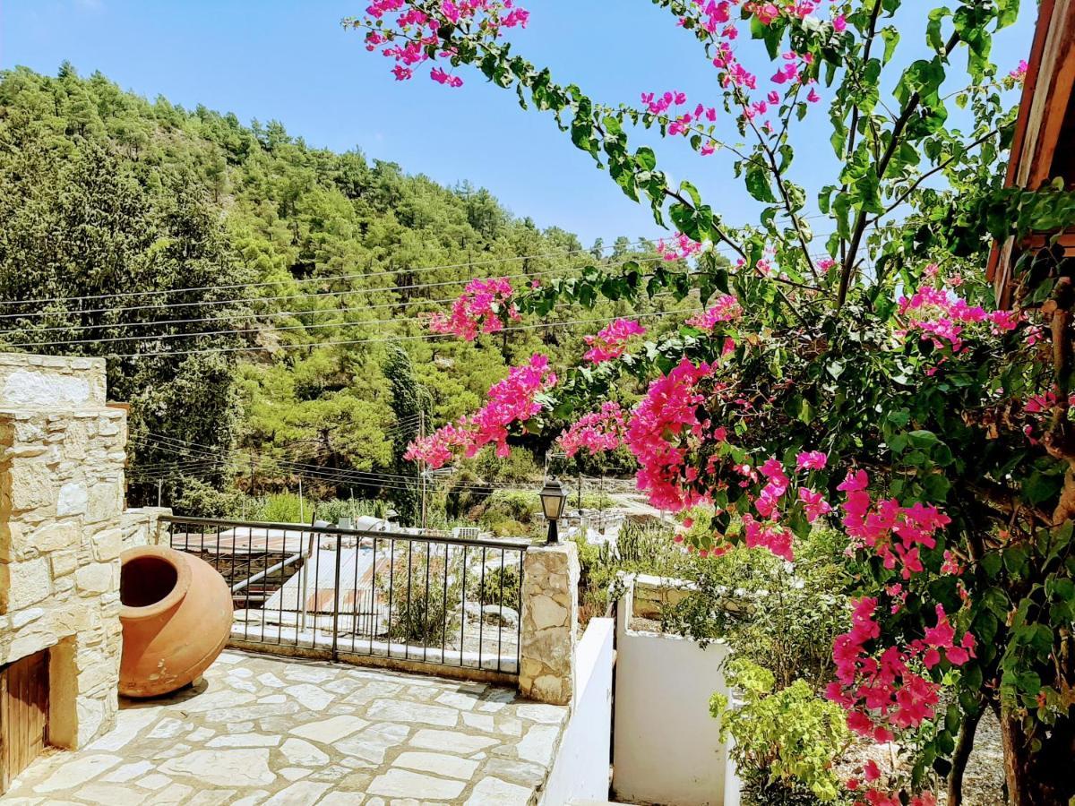 אפסיו Blue Cottage מראה חיצוני תמונה