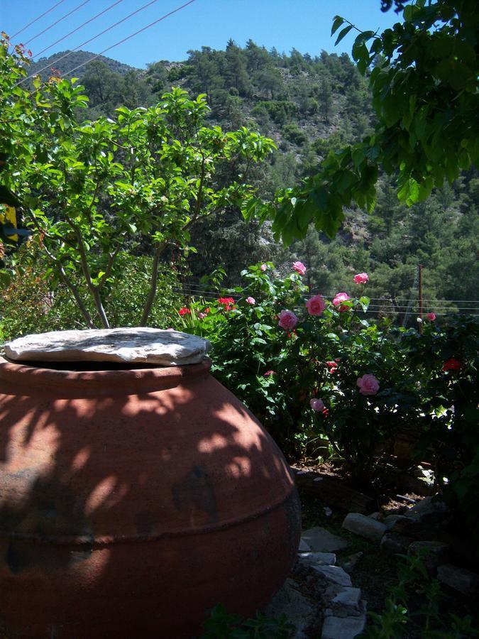 אפסיו Blue Cottage מראה חיצוני תמונה